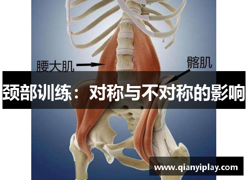 颈部训练：对称与不对称的影响