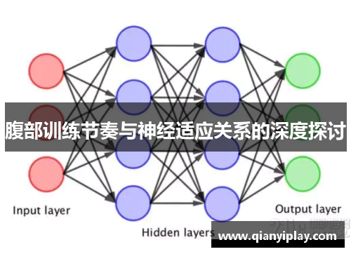 腹部训练节奏与神经适应关系的深度探讨